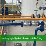 Lắp đặt hệ thống LNG tại Miwon Hải Dương